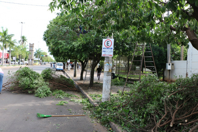 O trabalho iniciado na semana passada foi continuado na terça-feira (17) com a poda das árvores ao redor do antigo prédio da Prefeitura Municipal e na praça da Igreja Santo Antônio. (Foto: Assessoria)