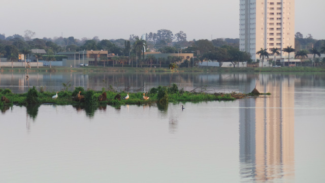 A Lagoa Maior é um dos principais pontos de visitação de Três Lagoas, servindo inclusive de abrigo para pássaros a animais da fauna pantaneira (Foto: Ricardo Ojeda)