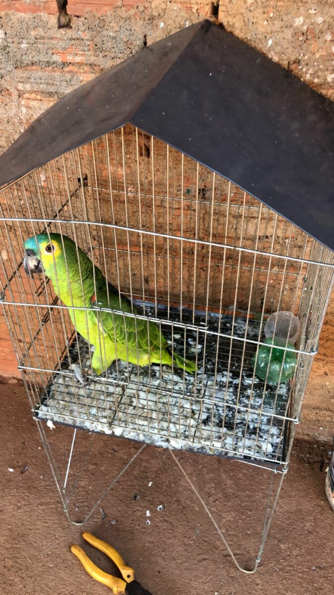 Polícia prende mais dois envolvidos em morte de trabalhador executado em Três Lagoas Polícia prende mais dois envolvidos em morte de trabalhador executado em Três Lagoas