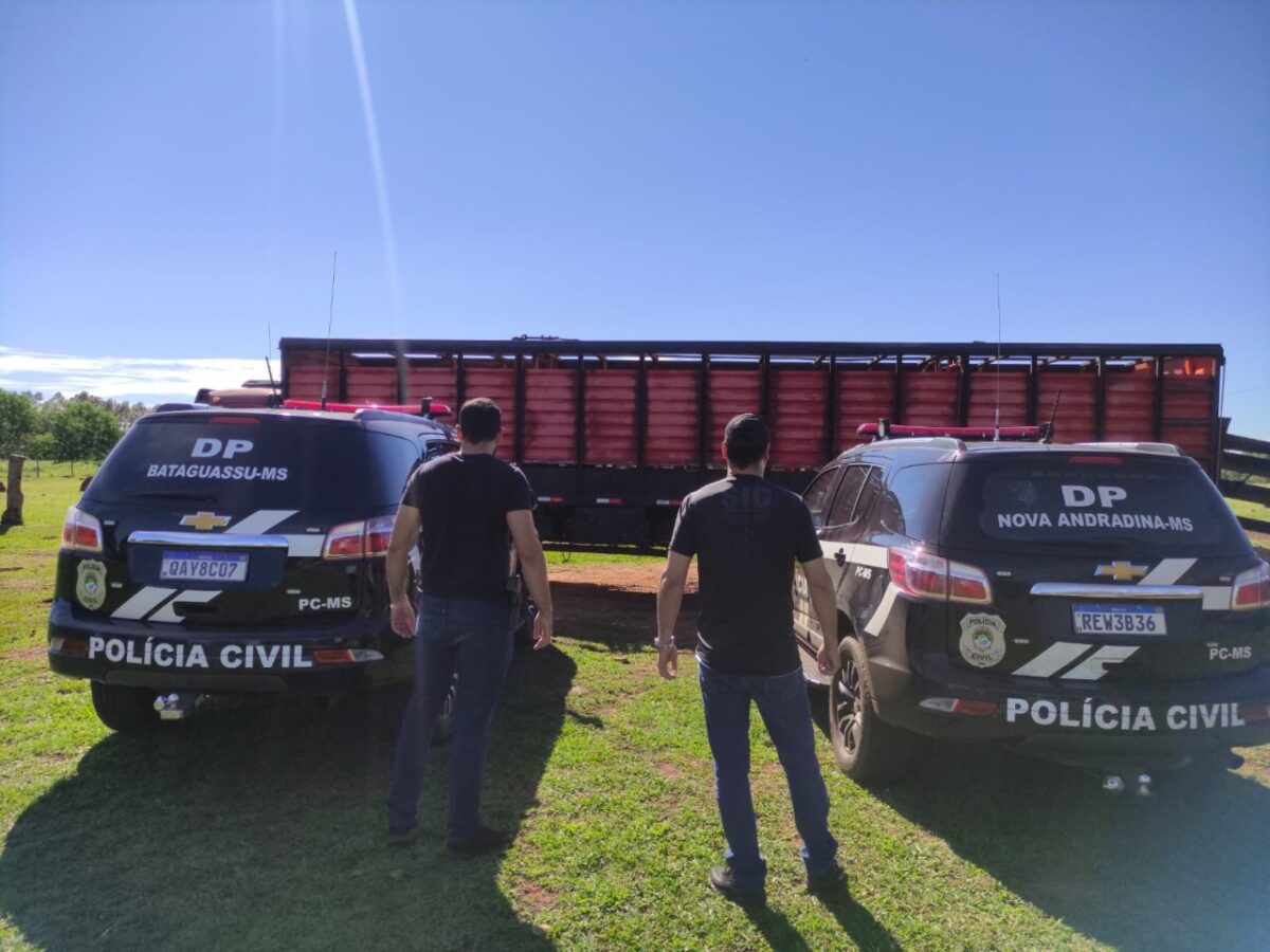 Em ação rápida, polícia identifica criminosos que furtaram cabeças de gado em área rural de Bataguassu