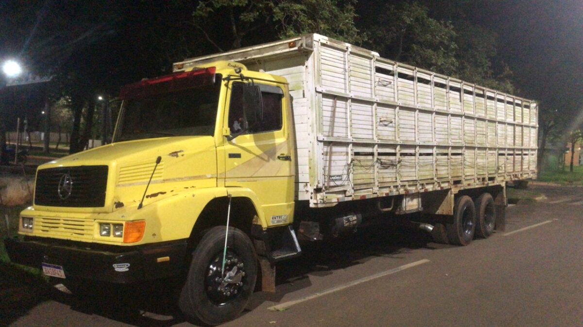 Em ação rápida, polícia identifica criminosos que furtaram cabeças de gado em área rural de Bataguassu