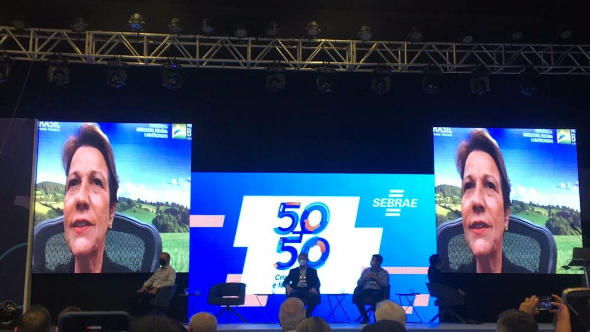 Brasilândia participa de evento comemorativo aos 50 anos do Sebrae