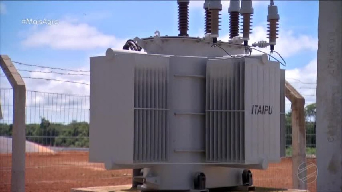 Em MS, dejetos suínos são usados para gerar energia Em MS, dejetos suínos são usados para gerar energia