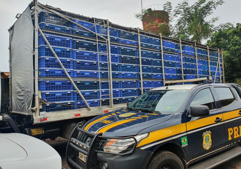 PRF apreende 4,3 toneladas de maconha em Selvíria