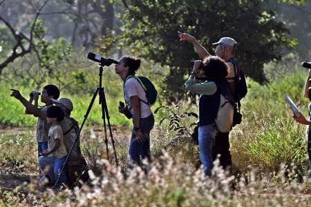 Bioparque Pantanal vai promover o turismo científico e ampliar percepção sobre ecologia Bioparque Pantanal vai promover o turismo científico e ampliar percepção sobre ecologia