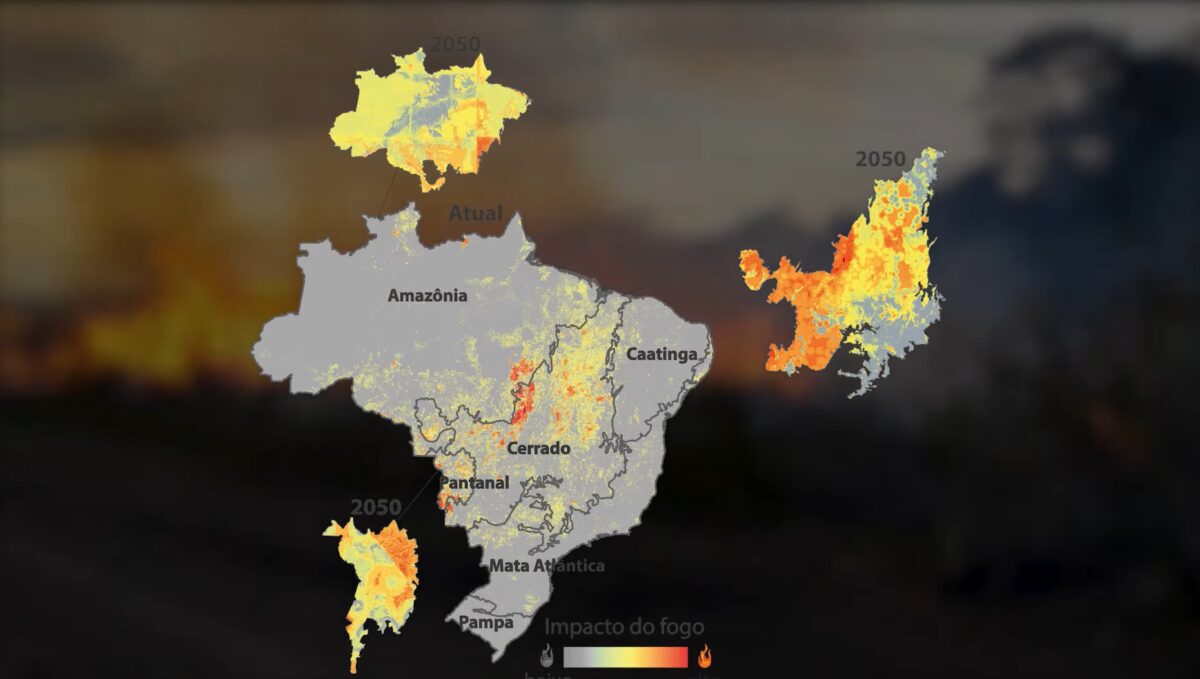 Três cidades de MS estão entre os municípios que mais sofrem impacto dos incêndios florestais no Brasil