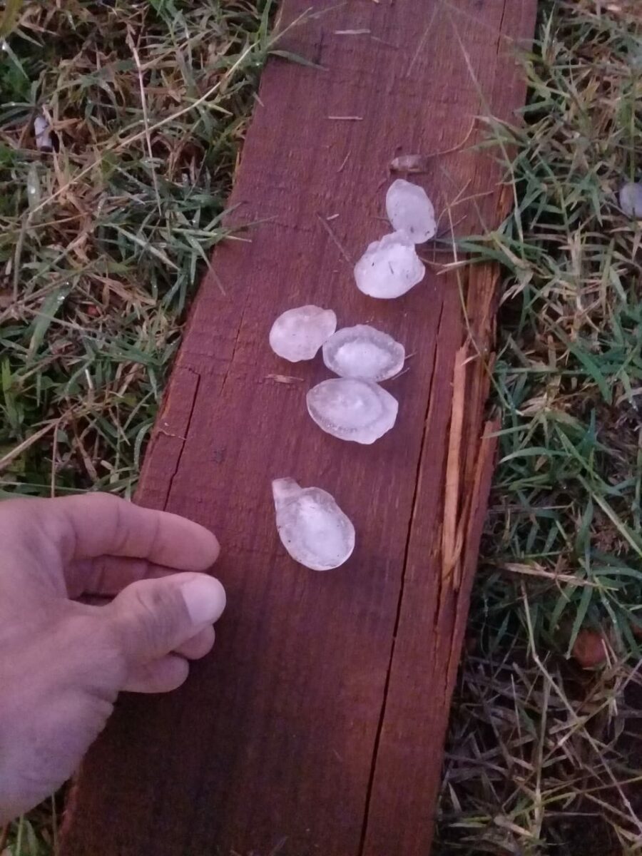 Temporal atinge Nova Itamarati causando medo e destruição Temporal atinge Nova Itamarati causando medo e destruição
