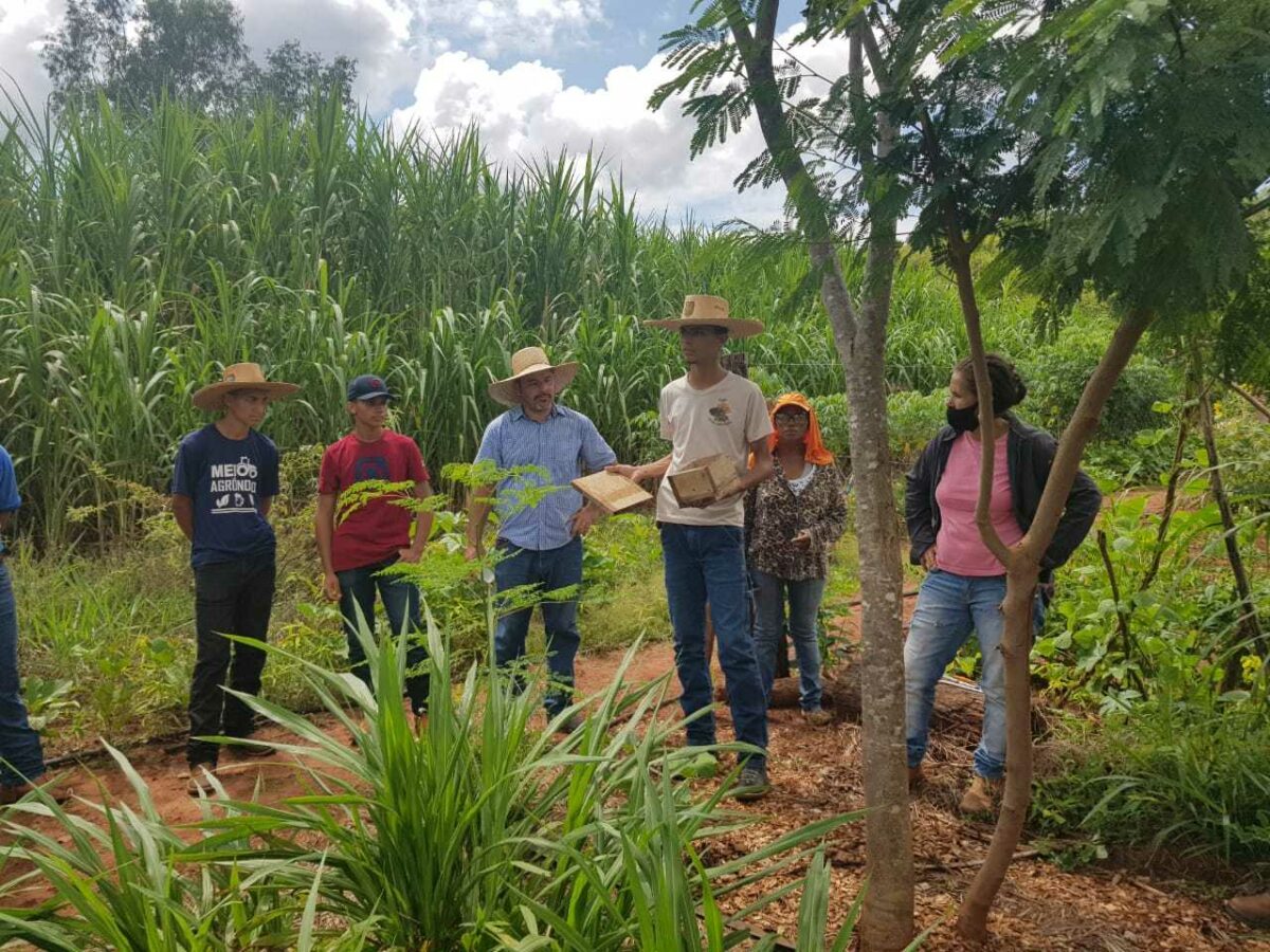 Em MS, agricultores familiares apoiados pela Suzano produziram 4.491 toneladas de alimentos agroecológicos em 2021 Em MS, agricultores familiares apoiados pela Suzano produziram 4.491 toneladas de alimentos agroecológicos em 2021