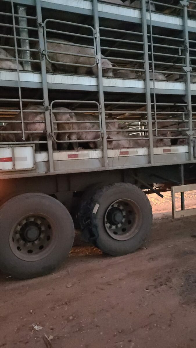 Acidente com ônibus de estudante entre Bataguassu e Brasilândia, sem vítimas Acidente com ônibus de estudante entre Bataguassu e Brasilândia, sem vítimas