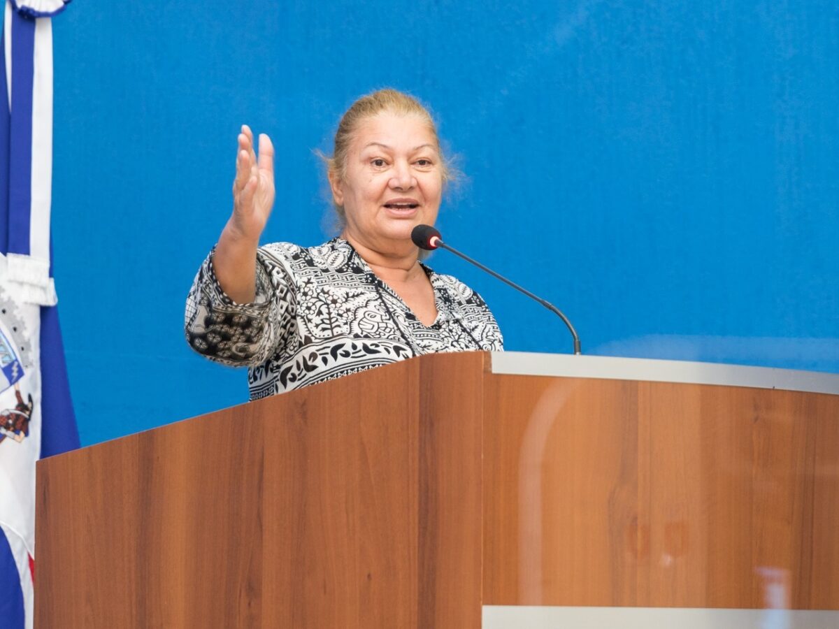 Vereadores aprovam projetos visando palestras em escolas e tratamento de animais custeado por agressor