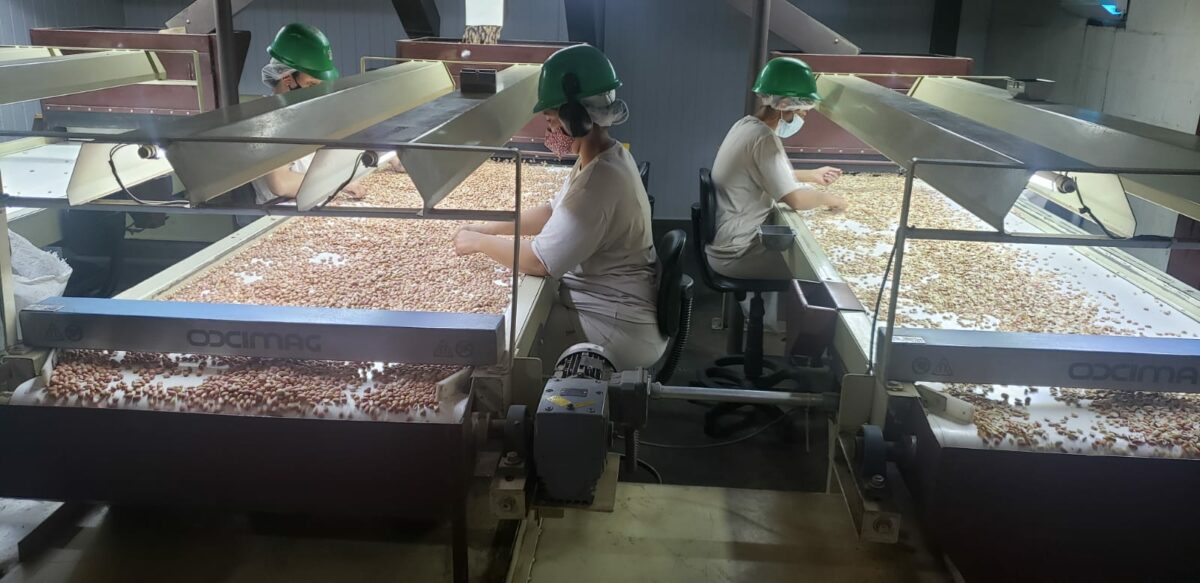 Prefeitura e Casul discutem detalhes para instalação de indústria para processamento de amendoim em Bataguassu