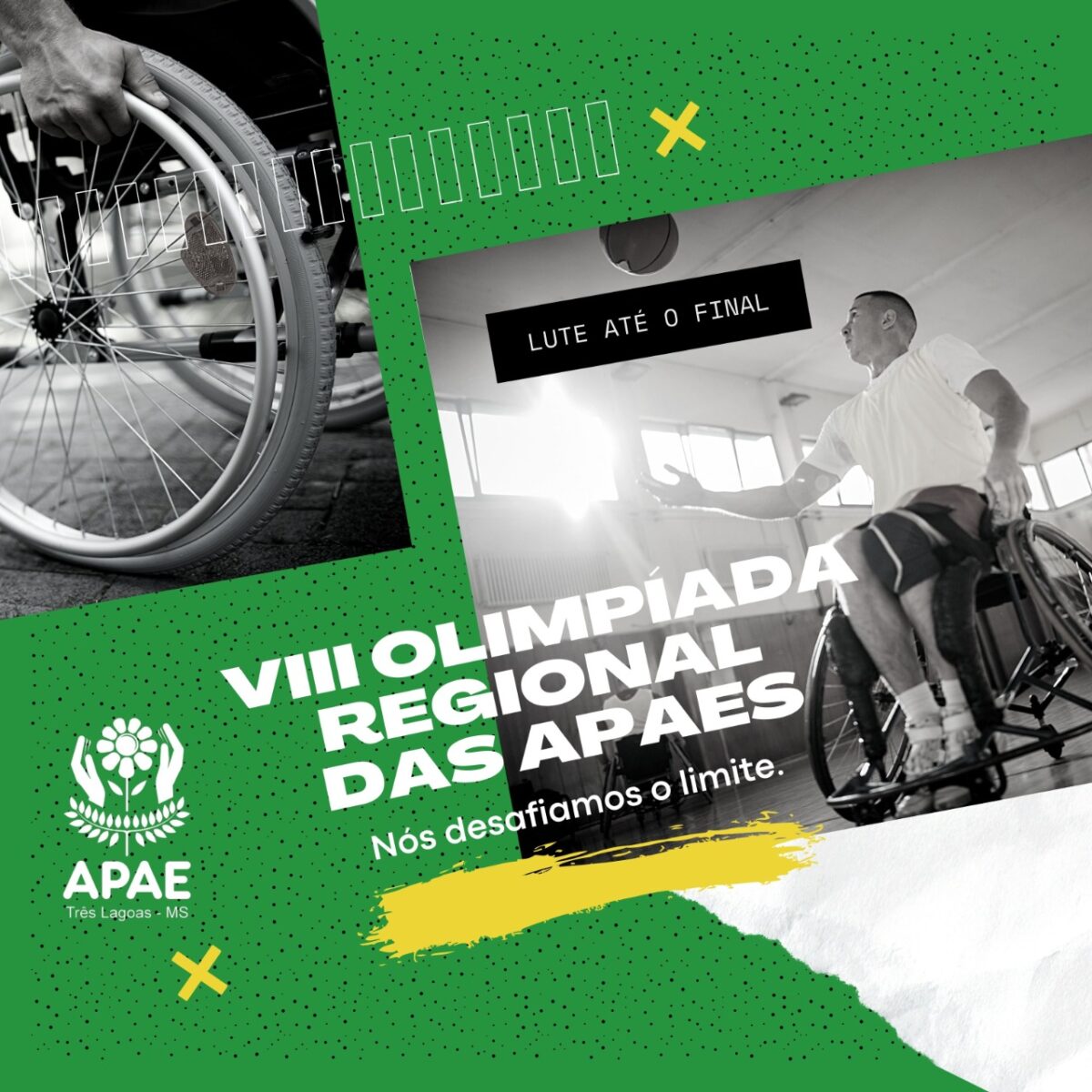 Três Lagoas será sede da 8ª olimpíada regional das Apaes