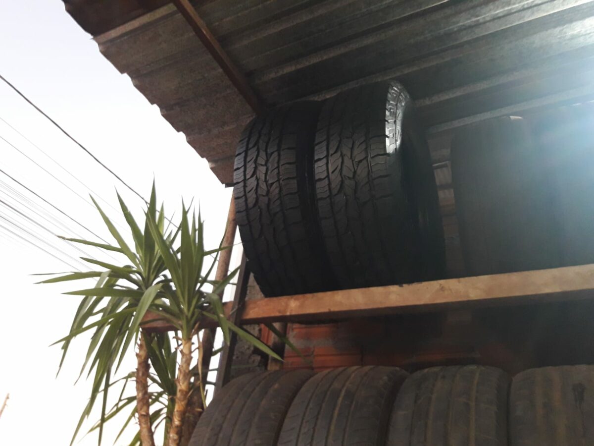 Policiais Civis recuperam pneus furtados em comércio deTrês Lagoas