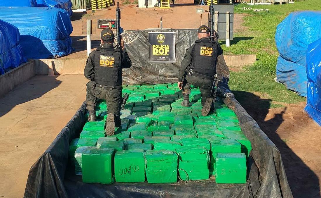 DOF apreende quase duas toneladas de maconha e prende fugitivo da justiça em Sete Quedas