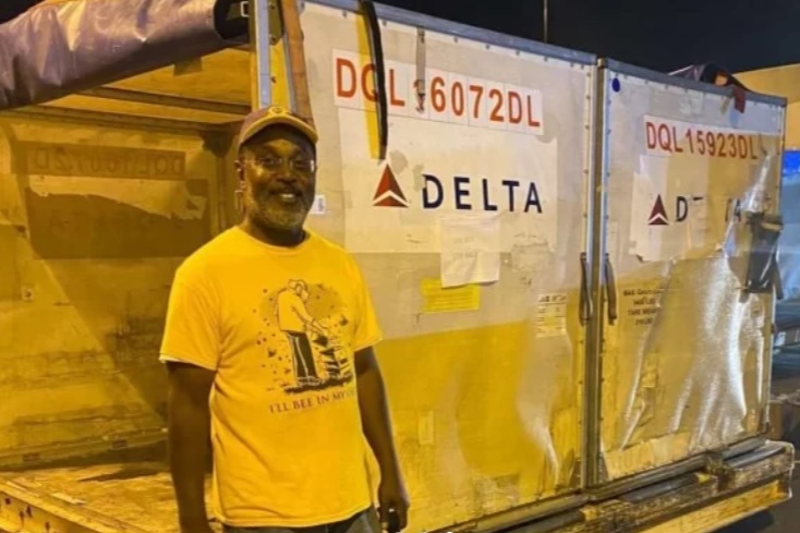 Cinco milhões de abelhas morrem abandonadas em aeroporto de Atlanta