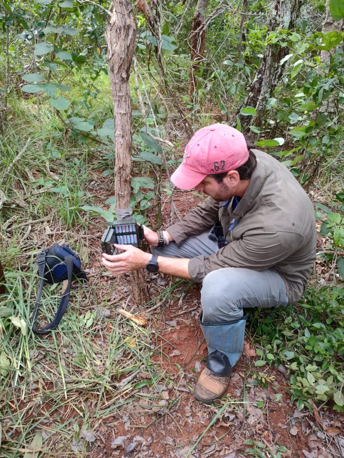 Meio Ambiente e Instituto ICAS divulgam os primeiros resultados do monitoramento de fauna no Parque do Pombo