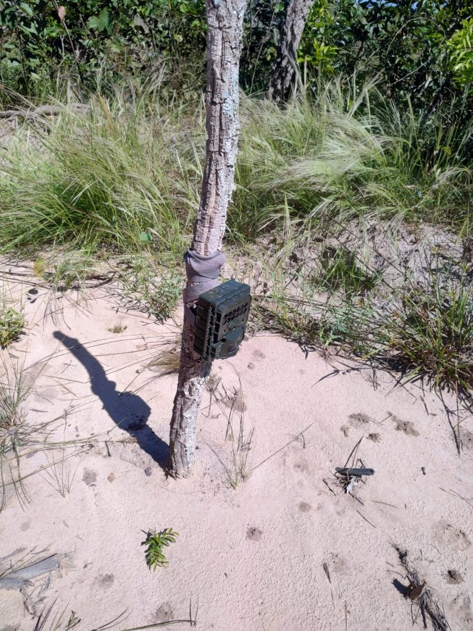 Meio Ambiente e Instituto ICAS divulgam os primeiros resultados do monitoramento de fauna no Parque do Pombo