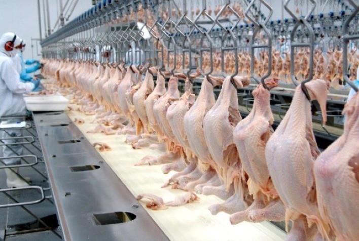 PT quer “proibir” a exportação de grãos e carne