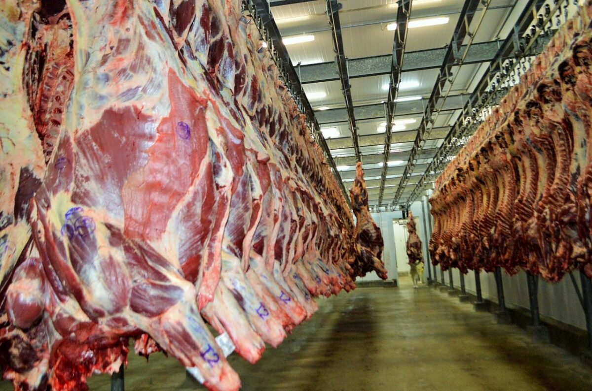 PT quer “proibir” a exportação de grãos e carne