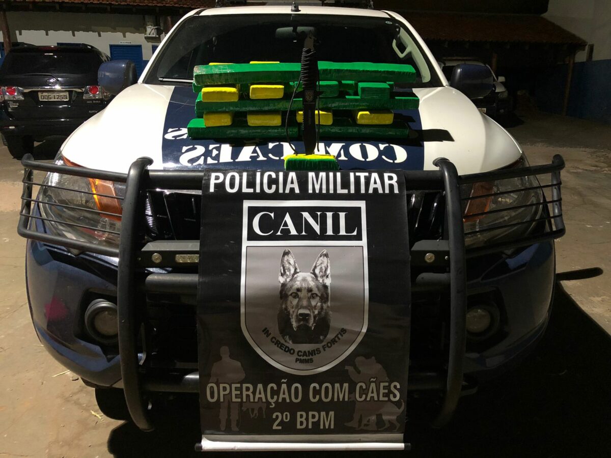 Canil da PM encontra em ônibus 16 quilos de maconha