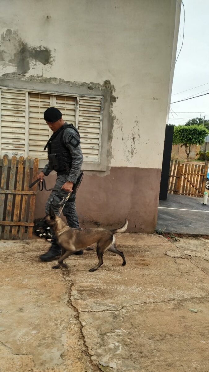 OPERAÇÃO PRAEBITOR: Força tarefa da Civil e Militar prende 6 pessoas, além de várias apreensões, dos quais 16 quilos de drogas