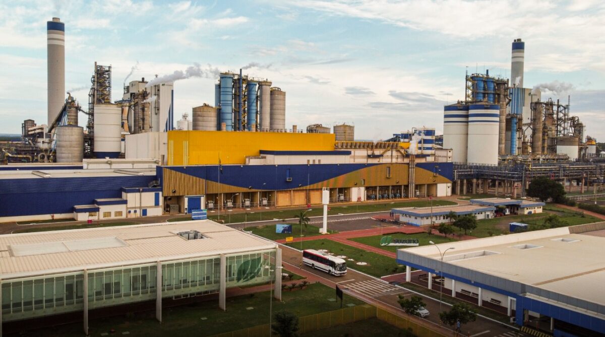 MS entra em nova era da celulose com megafábricas que vão investir mais de R$ 34 bilhões MS entra em nova era da celulose com megafábricas que vão investir mais de R$ 34 bilhões