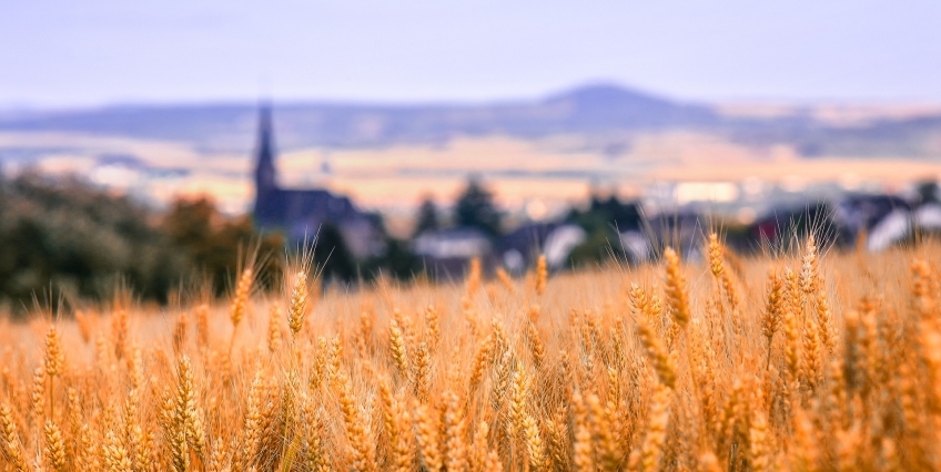 Como o Brasil está salvando o mundo de uma crise alimentar catastrófica Como o Brasil está salvando o mundo de uma crise alimentar catastrófica
