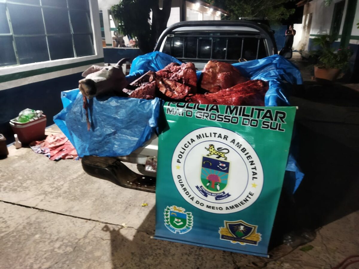 PMA de Coxim prende cinco por furto e receptação de gado e apreende veículo e gado abatido