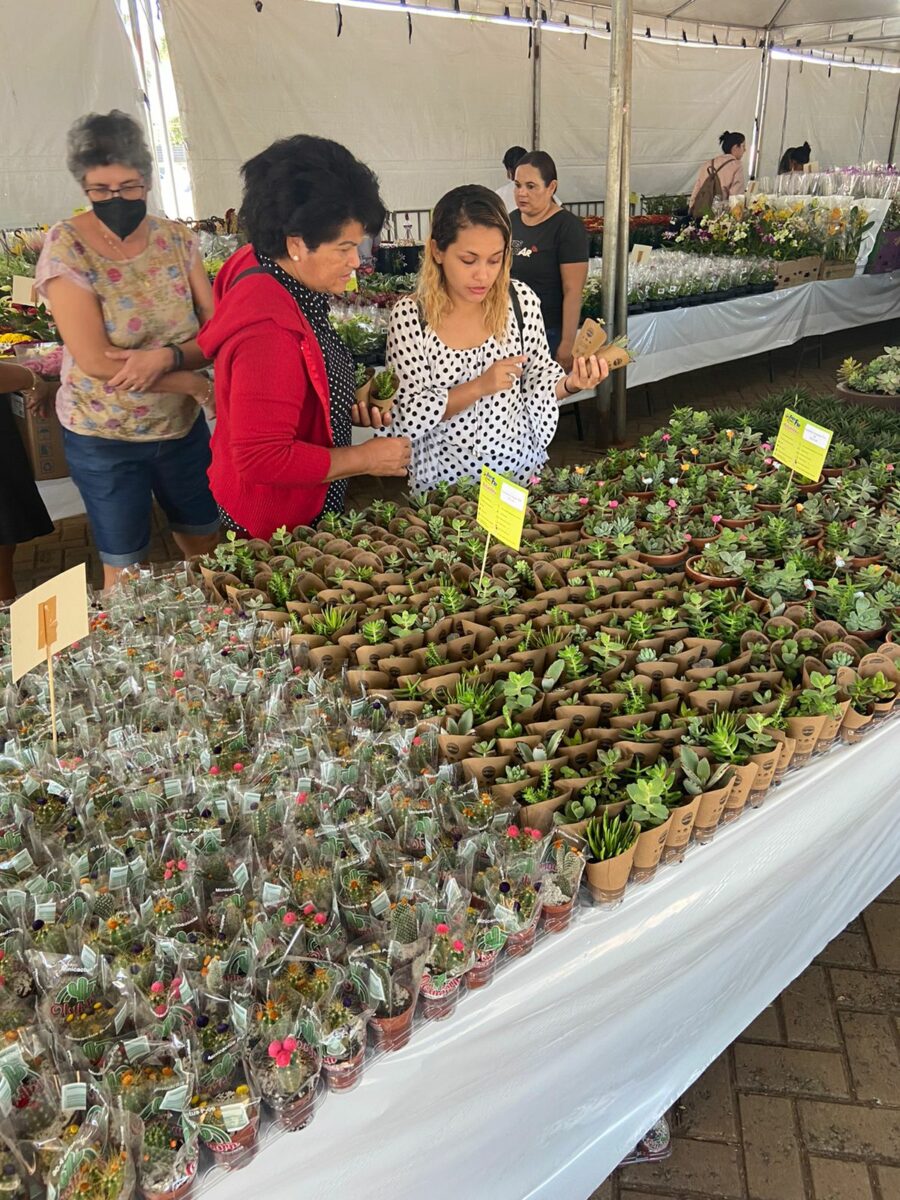 APAE de Três Lagoas recebe hoje a 13ª edição da Expo Flor
