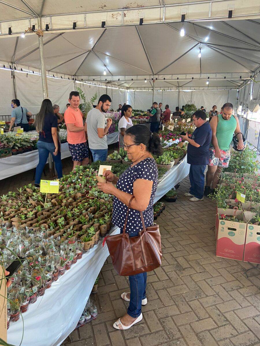 APAE de Três Lagoas recebe hoje a 13ª edição da Expo Flor