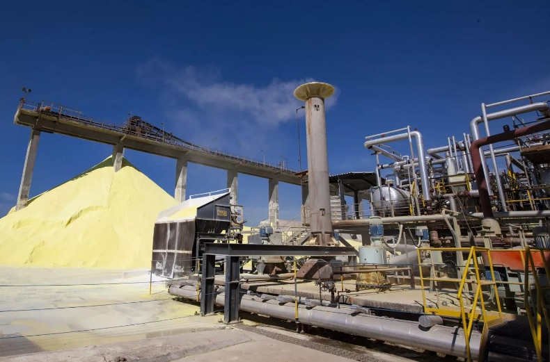 Como o Brasil está salvando o mundo de uma crise alimentar catastrófica Como o Brasil está salvando o mundo de uma crise alimentar catastrófica