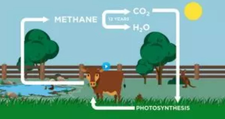 Em discurso, Lula condena agropecuária brasileira