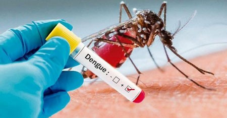 BOLETIM EPIDEMIOLÓGICO– Três Lagoas notifica 10 novos casos de dengue na 41ª semana de 2022