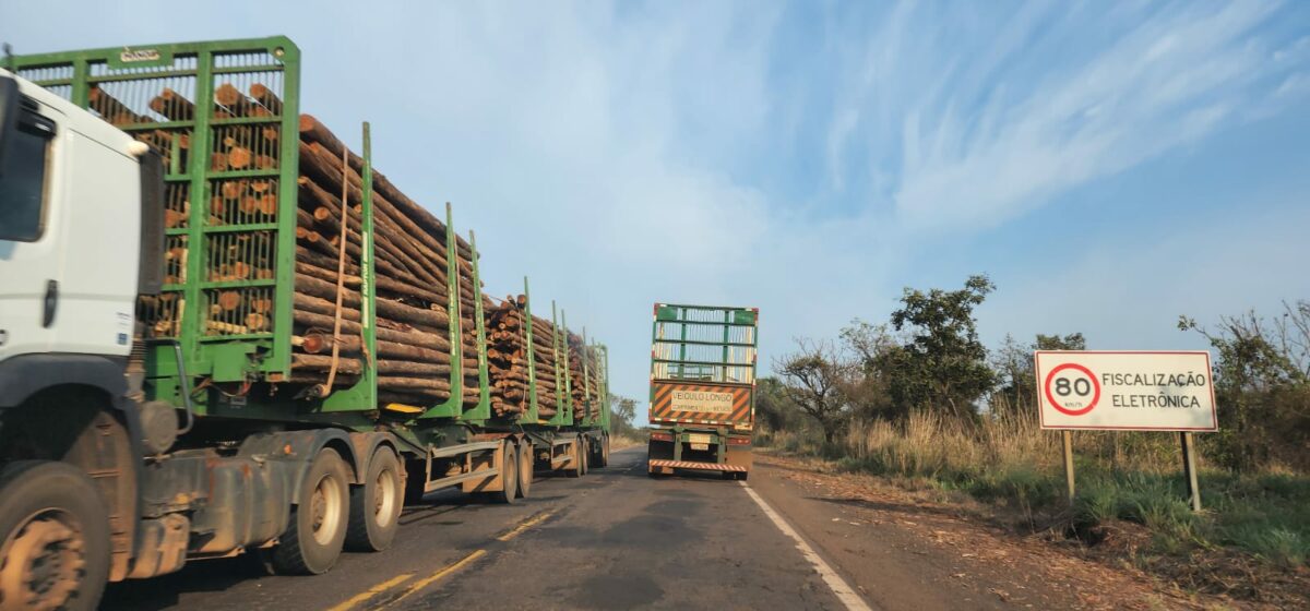 Acidentes disparam na BR-262 entre o trecho de Três Lagoas e Ribas do Rio Pardo Acidentes disparam na BR-262 entre o trecho de Três Lagoas e Ribas do Rio Pardo