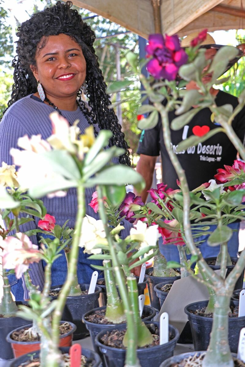 Encontro de Rosas do Deserto e Suculentas atrai público de 400 pessoas