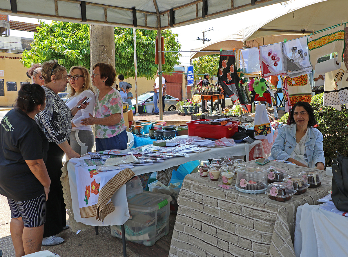 Encontro de Rosas do Deserto e Suculentas atrai público de 400 pessoas