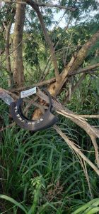 <em>Artigos científicos da SMS de TL serão expostos em Congresso da Sociedade Brasileira de Medicina Tropical</em>