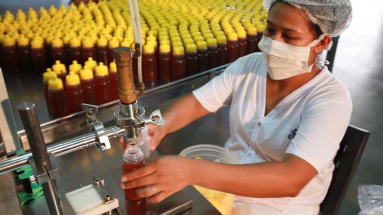 <em>Rebanho bovino bate recorde no Brasil em 2021, aponta IBGE</em> <em>Rebanho bovino bate recorde no Brasil em 2021, aponta IBGE</em>