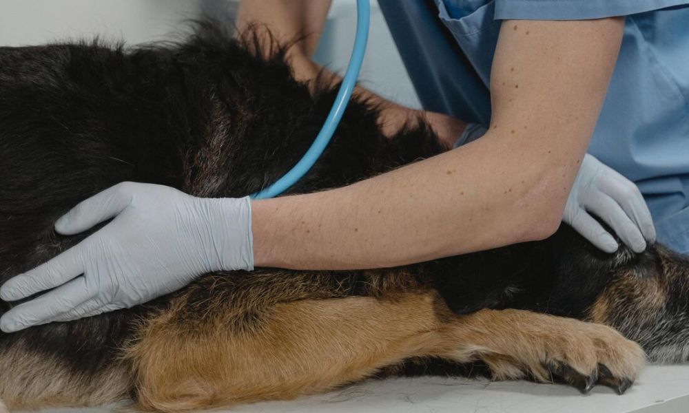 VARÍOLA MONKEYPOX – Três Lagoas registra 04 novos suspeitos e confirma 03 que estavam em investigação