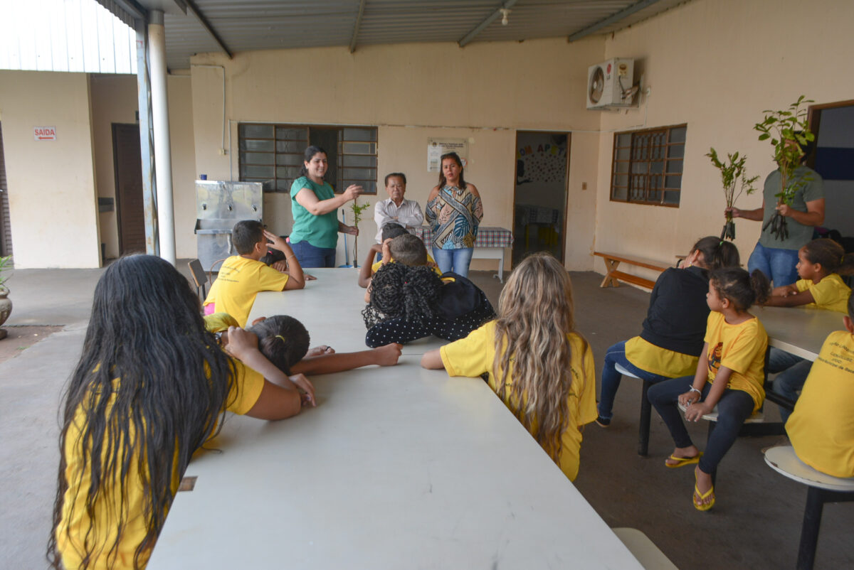 <strong>Superintendência do Meio Ambiente celebra Dia da Árvore com distribuição de mudas e sementes em Bataguassu </strong> <strong>Superintendência do Meio Ambiente celebra Dia da Árvore com distribuição de mudas e sementes em Bataguassu </strong>