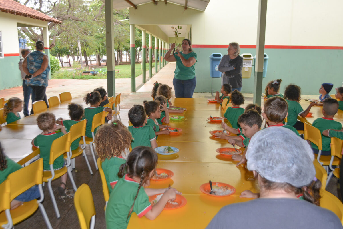 <strong>Superintendência do Meio Ambiente celebra Dia da Árvore com distribuição de mudas e sementes em Bataguassu </strong> <strong>Superintendência do Meio Ambiente celebra Dia da Árvore com distribuição de mudas e sementes em Bataguassu </strong>