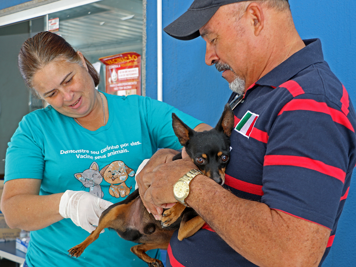 Saúde imuniza 6.502 animais na Campanha de Vacinação Antirrábica 2022