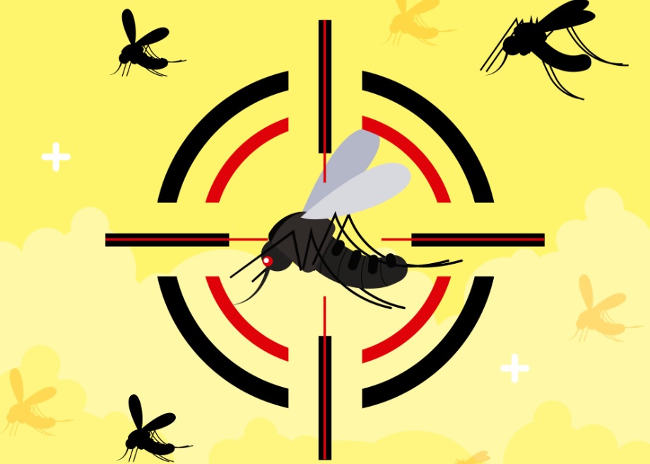 Endemias de Brasilândia continua o trabalho de combate ao mosquito Aedes Aegypti