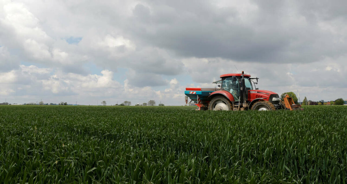 Yara está prestes a fechar compra de unidade de fertilizantes da Petrobras (PETR4)