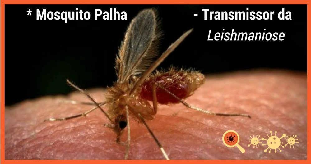 Boletim Epidemiológico – Chega a 2014 notificações de casos de dengue em Três Lagoas