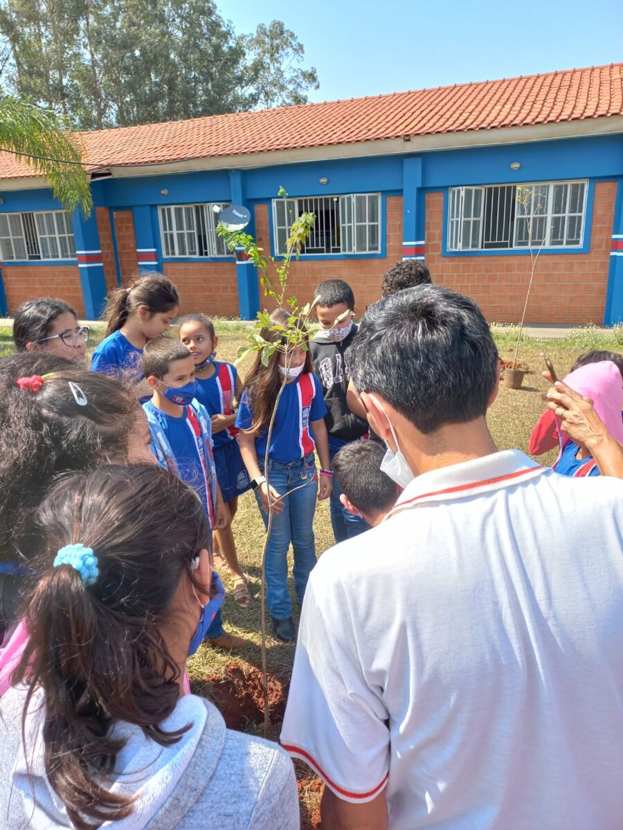 Meio Ambiente celebra Dia da Árvore com plantio de mudas e entrega de certificados para podadores