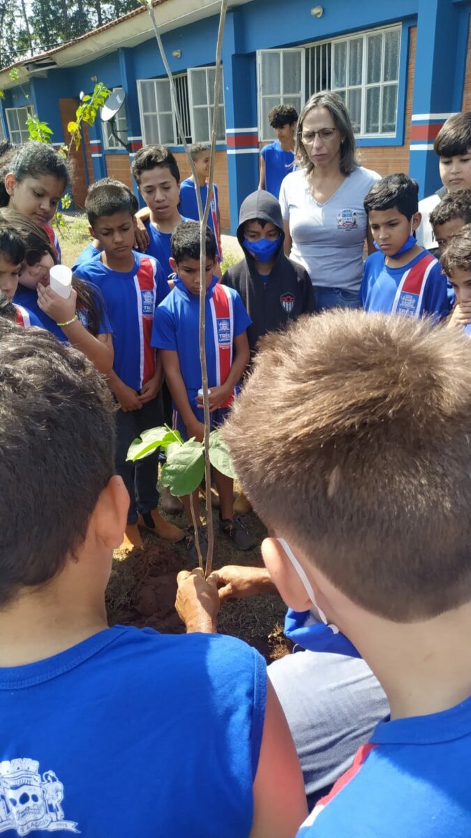 Meio Ambiente celebra Dia da Árvore com plantio de mudas e entrega de certificados para podadores