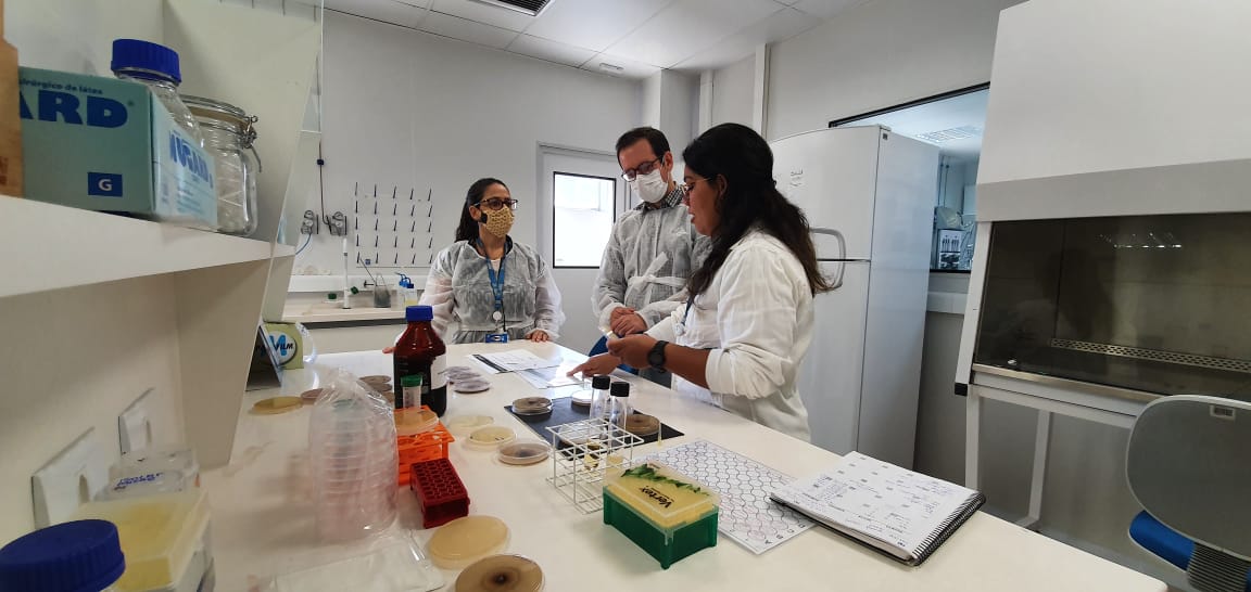 ISI Biomassa desenvolve biodefensivo alternativo a partir de bagaço da cana-de-açúcar ISI Biomassa desenvolve biodefensivo alternativo a partir de bagaço da cana-de-açúcar