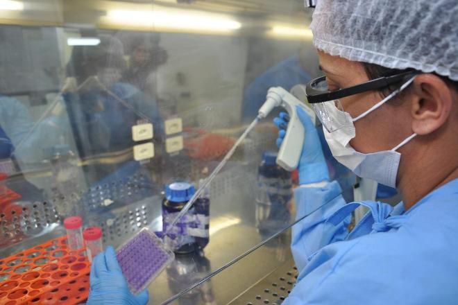 Covid-19: primeiros testes de vacina brasileira terão 400 voluntários Covid-19: primeiros testes de vacina brasileira terão 400 voluntários
