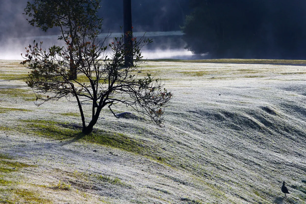 Inmet prevê “frio intenso e atípico” em quatro regiões
